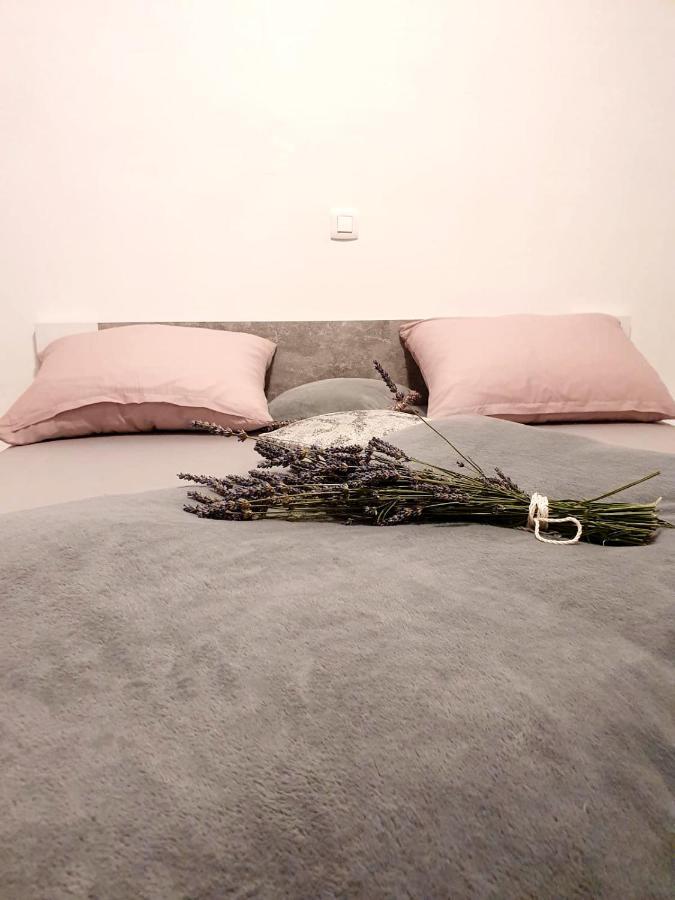 Apartman Skolj Jovici  Buitenkant foto